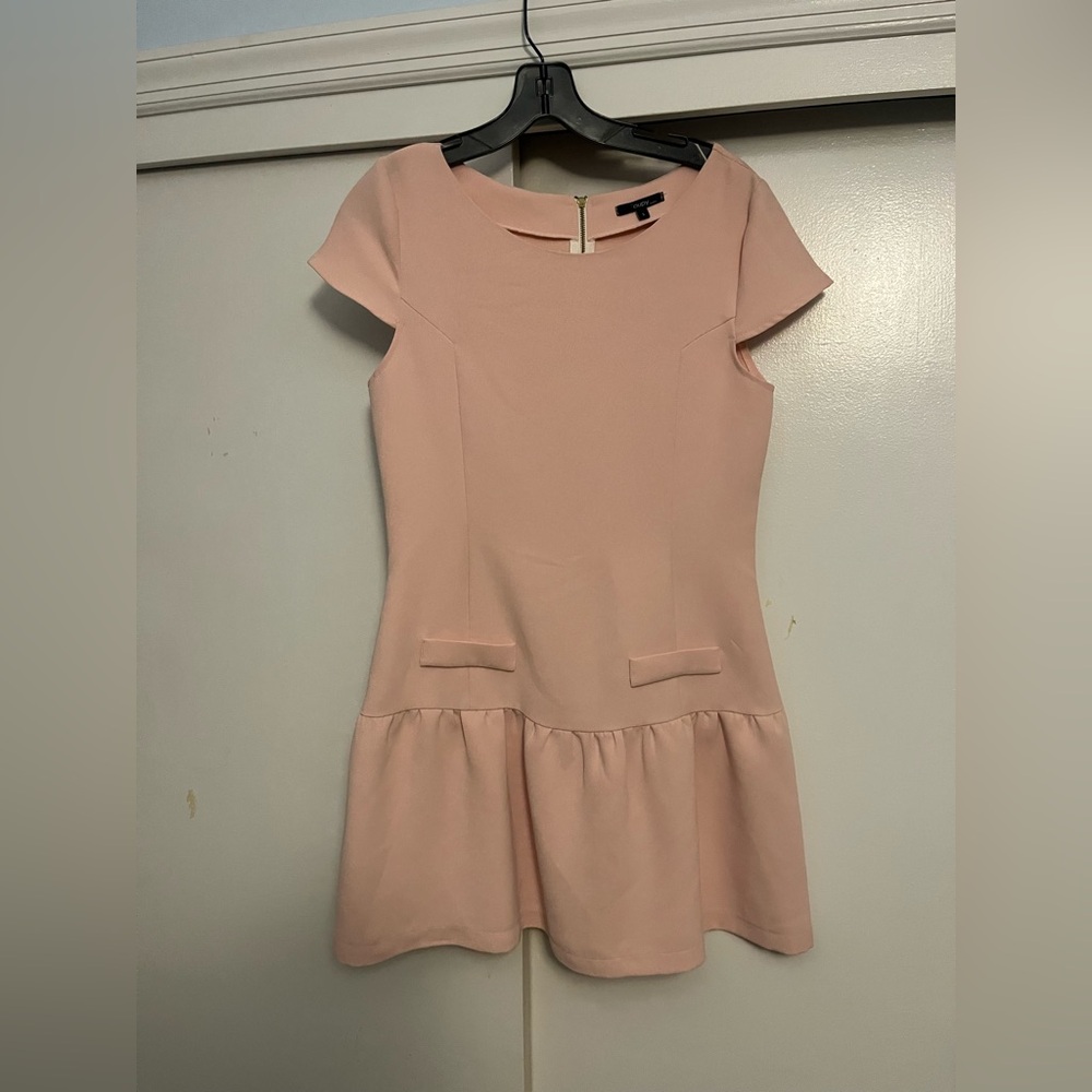 Chic Blush Cap Sleeve Mini Dress